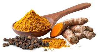 Ingredientes naturales para pasta dorada: cúrcuma en polvo, raíz fresca y pimienta negra para perros con cáncer
