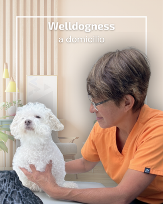 Welldogness a Domicilio