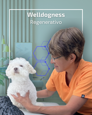 Welldogness Regenerativo